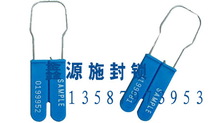 XY011-17 plastic padlock